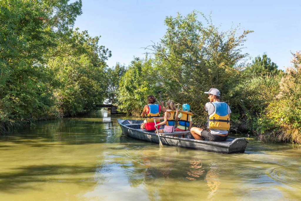 🚣‍♂️ Balades en barque dans le Marais Poitevin : une parenthèse nature à deux pas du Domaine Ericarclem
